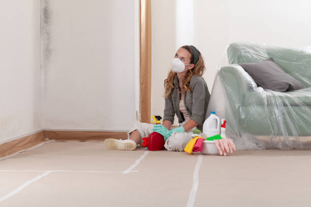 Reliable Mold Remediation contractor in Southern View, IL by 24 Hour Mold Removal